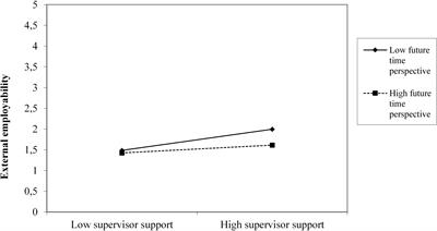 An Open Time Perspective and Social Support to Sustain in Healthcare Work: Results of a Two-Wave Complete Panel Study